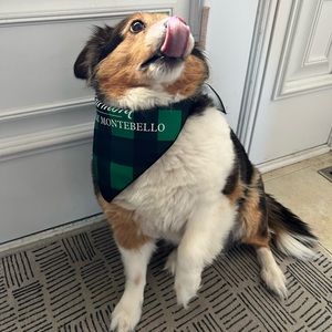 Meet your Posher, Patrick